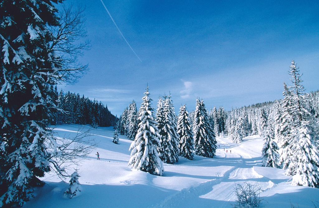 Résidence Plein Sud by Popinns Allos Exterior foto